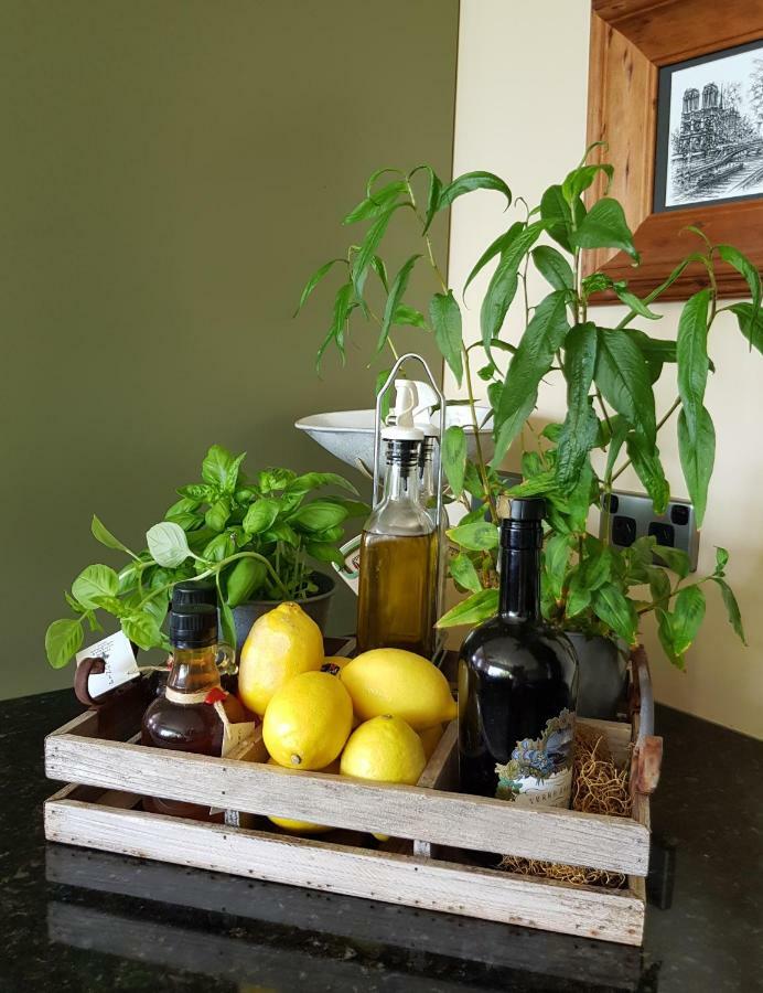 Villa Te Soro Bed And Breakfast Όκλαντ Εξωτερικό φωτογραφία